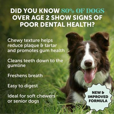 Show full view: Pet Honesty Dental Health Fresh Sticks Mint Plaque Off Dental & Teeth Cleaning Dog Dental Chews, 16 count slide 3 of 12