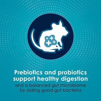 Show full view: Kaytee Forti-Diet Pro Health Nourish+Protect Mouse, Rat & Hamster Food, 3-lb bag slide 4 of 9