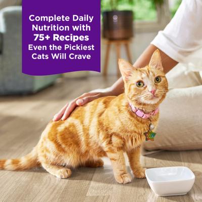 Show full view: Wellness Complete Health Grilled Favorites Variety Pack Grain-Free Wet Cat Food, 3-oz can, case of 24 slide 4 of 12
