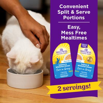Show full view: Wellness Complete Health Purrfect Duos Salmon & Whitefish Grain-Free Cuts in Gravy Wet Cat Food, 2.64-oz cup, case of 12 slide 5 of 12