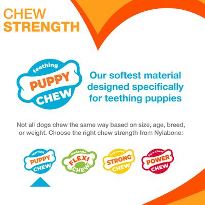 Show full view: Nylabone Teething Keys Puppy Chew Toy & Nylabone Advanced Oral Care Dog Finger Brush slide 4 of 10