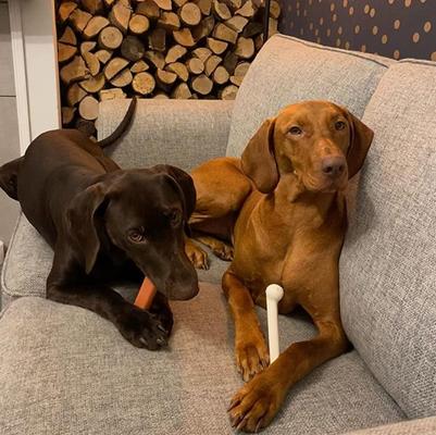 Show full view: Nylabone Power Chew Durable Dog Chew Toy, Bacon & Chicken Dog Treats, Large, 2 count slide 2 of 12