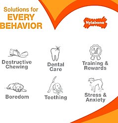 Nylabone Power Elk Bone Alternative Venison Tenderloin Tough Dog Chew Toy, Brown, X-Large/Souper slide 2 of 9