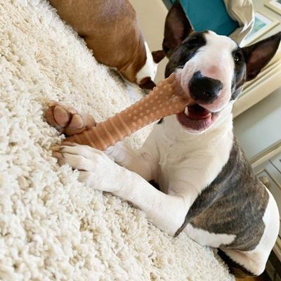 Show full view: Nylabone Power Chew Durable Dog Toy Bacon, X-Large  slide 2 of 12