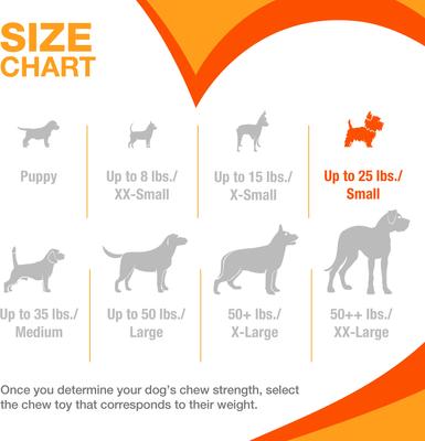 Show full view: Nylabone Puppy Starter Kit Chicken & Bacon Puppy Chew Toys & Treat, Small, 3 count slide 4 of 12