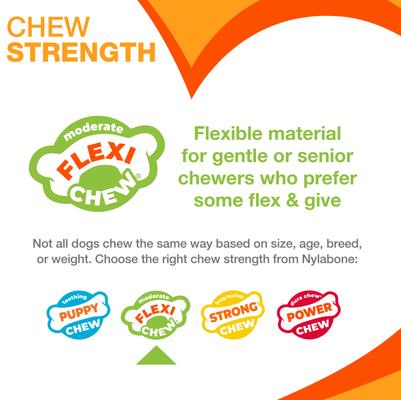 Show full view: Nylabone FlexiChew Chicken Flavored Dog Chew Toy, Large slide 4 of 13