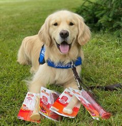 Nylabone Power Chew Original Flavored Dog Chew Toy, Large slide 2 of 8