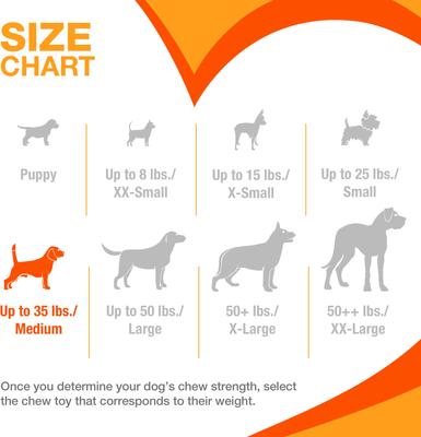 Show full view: Nylabone Just for Puppies Teething Chew Toy Classic Bone Chicken, Medium slide 4 of 12