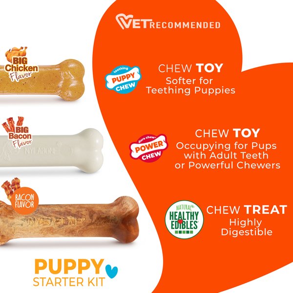 Nylabone Puppy Starter Kit Chicken & Bacon Puppy Chew Toys & Treat