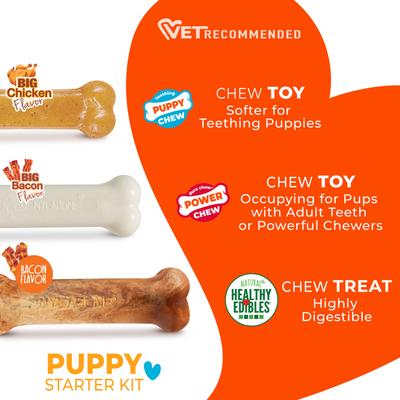 Show full view: Nylabone Puppy Starter Kit Chicken & Bacon Puppy Chew Toys & Treat, Small, 3 count slide 2 of 12