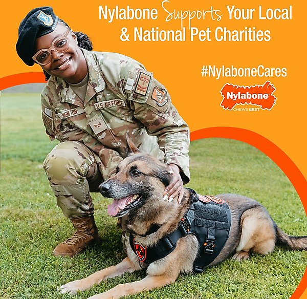 Show full view: Nylabone Puppy Teething & Soothing Flexible Chicken Flavor Chew Dog Toy Pink, X-Small slide 8 of 13