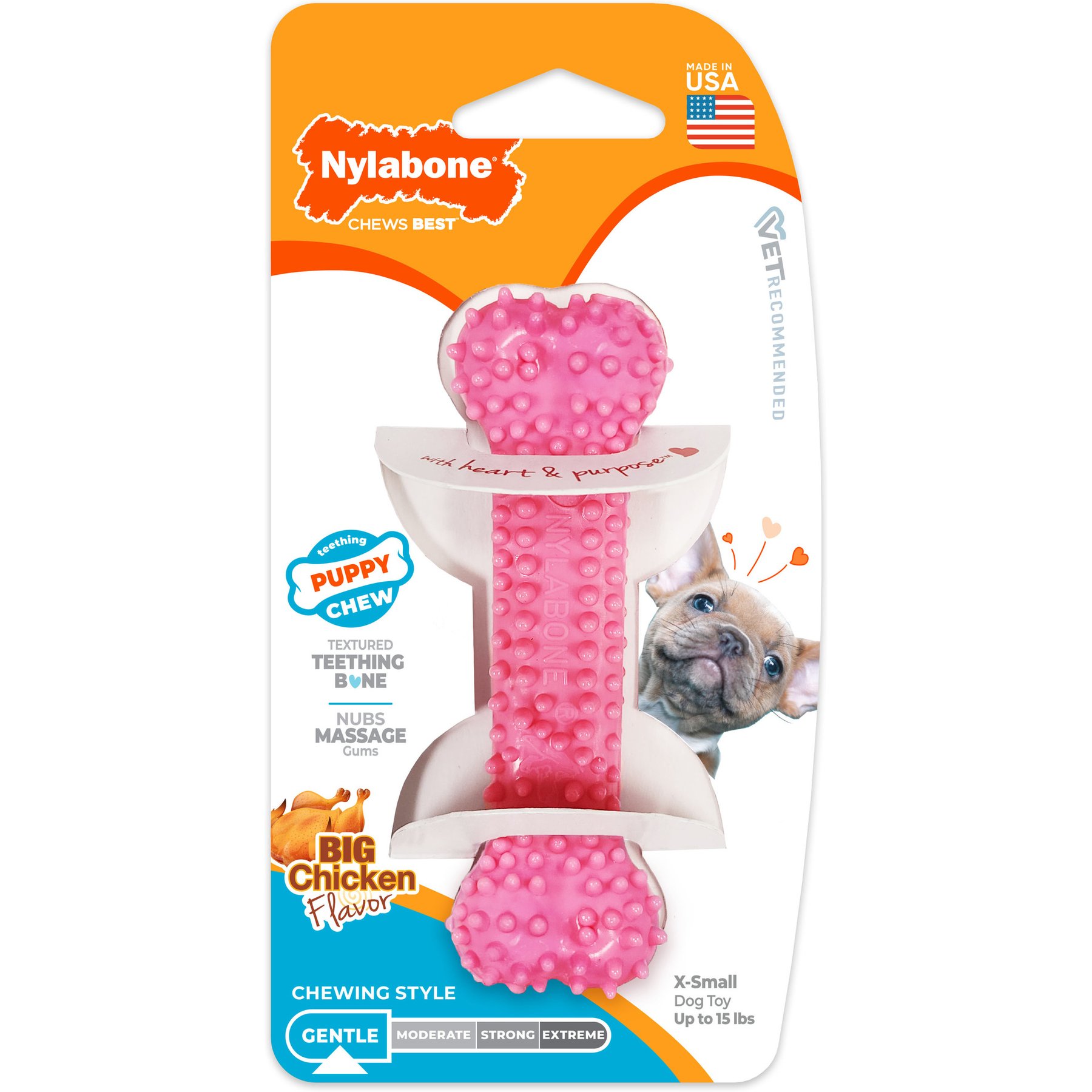 Nylabone Puppy Toy Petite Dental Puppy Chew Toy