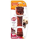 Nylabone Flavor Frenzy Power Chew Dog Toy Beef Jerky, X-Large