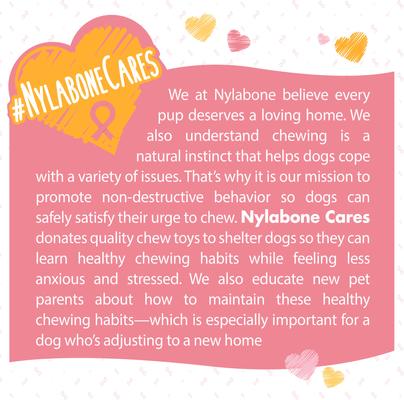 Show full view: Nylabone Breast Cancer Awareness Dog Power Chew Toy Chicken, X-Large slide 7 of 11