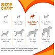 Show in main carousel: Nylabone Puppy Teething & Soothing Flexible Chicken Flavor Chew Dog Toy Pink, X-Small slide 6 of 13