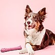 Show in main carousel: Nylabone Breast Cancer Awareness Dog Power Chew Toy Chicken, X-Large slide 3 of 12