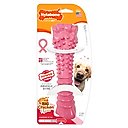 Nylabone Breast Cancer Awareness Dog Power Chew Toy Chicken, X-Large