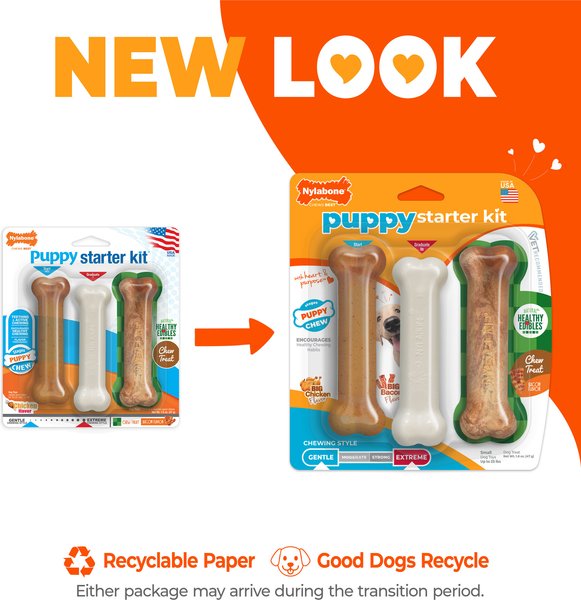 Nylabone Holiday Puppy Starter Kit Triple Pack Dog Bone Toys
