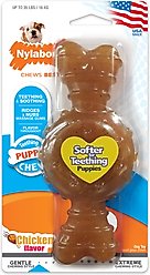 Nylabone Puppy Chew Ring Chicken Flavored Puppy Chew Toy, Medium