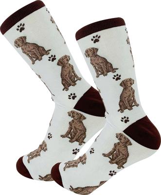 Show full view: E&S PETS Weimaraner Full Body Socks, Teal, one size slide 3 of 4