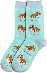 E&S PETS Cavalier King Charles Full Body Socks, Teal, one size
