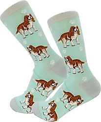 E&S PETS Cavalier King Charles Full Body Socks, Teal, one size slide 2 of 4
