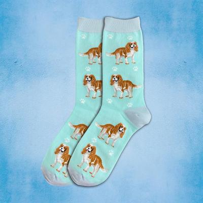 Show full view: E&S PETS Cavalier King Charles Full Body Socks, Teal, one size slide 3 of 4