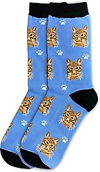 E&S PETS Orange Tabby Sock Daddy, Blue, one size