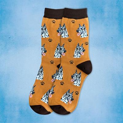 Show full view: E&S PETS Harlequin Great Dane Sock Daddy, Orange, one size slide 3 of 4