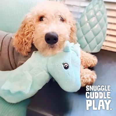 Show full view: Snugarooz Sandy the Sea Horse Squeaky Dog Plush Toy, Teal slide 5 of 5