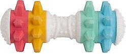 Snugarooz Shake If Off Nylon Bone Dog Toy, Multi