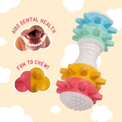 Show full view: Snugarooz Shake If Off Nylon Bone Dog Toy, Multi slide 4 of 5