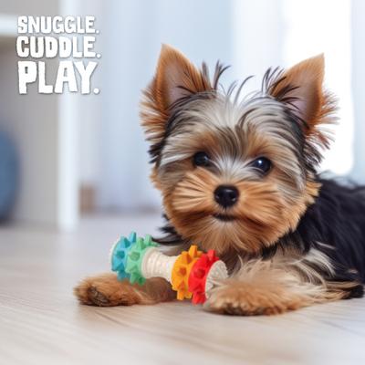 Show full view: Snugarooz Shake If Off Nylon Bone Dog Toy, Multi slide 5 of 5