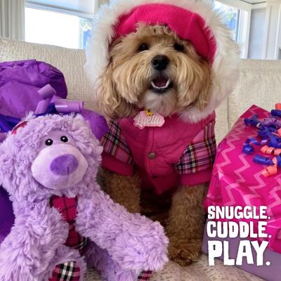 Show full view: Snugarooz Bella the Bear Squeaky Dog Plush Toy, Purple slide 5 of 7