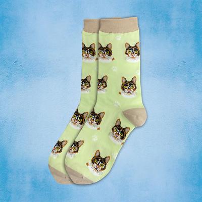 Show full view: E&S PETS Calico Sock Daddy, Teal, one size slide 3 of 4