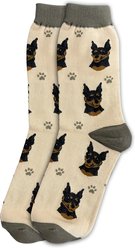 E&S PETS Min Pin Sock Daddy, Cream, one size