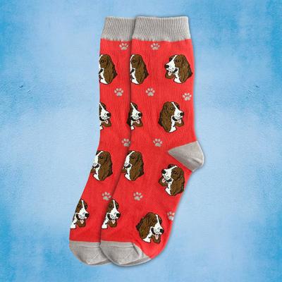 Show full view: E&S PETS Basset Hound Sock Daddy, Coral, one size slide 3 of 4