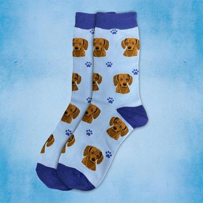 Show full view: E&S PETS Red Dachshund Sock Daddy, Light Blue, one size slide 3 of 4