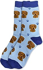 E&S PETS Red Dachshund Sock Daddy, Light Blue, one size slide 1 of 4