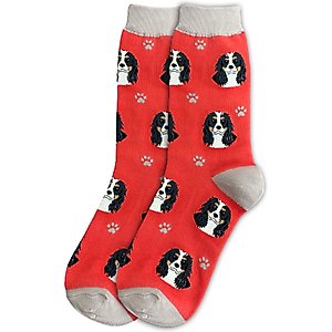 E&S PETS Cavalier King Charles Tri ColorSock Daddy, Red, one size