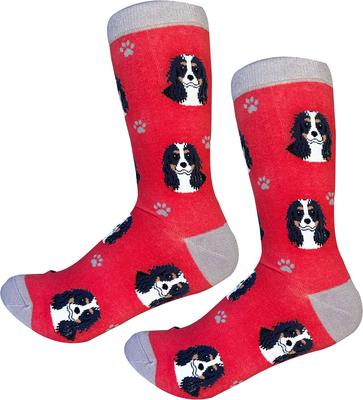Show full view: E&S PETS Cavalier King Charles Tri ColorSock Daddy, Red, one size slide 4 of 4