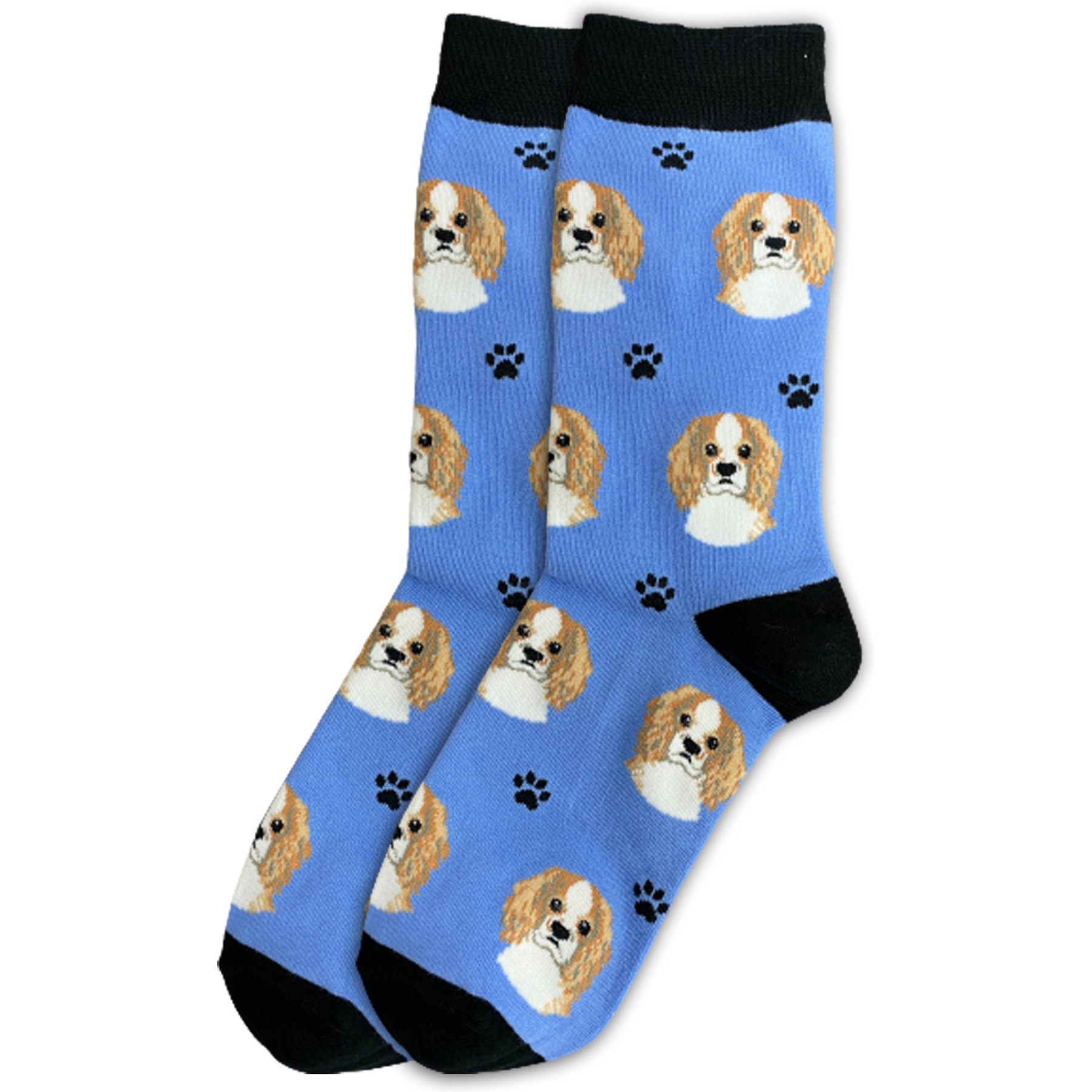 E&S PETS Cavalier King Charles Sock Daddy, Light Blue, one size