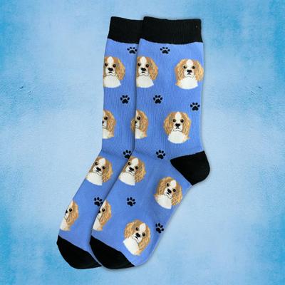 Show full view: E&S PETS Cavalier King Charles Sock Daddy, Light Blue, one size slide 3 of 4