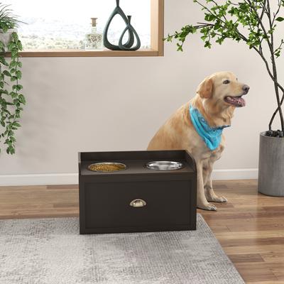 Show full view: AOSTIRMOTOR Elevated Dog Bowl Feeding Station with Storage, Coffee, 2-cup slide 7 of 9