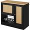 Show in main carousel: AOSTIRMOTOR Dog Bowl Feeding Station with Two Lockers, Elevated Bowls, Black, 2-cup slide 1 of 10