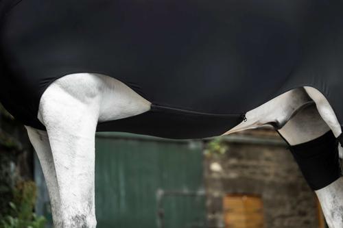 Show full view: Horseware Ireland Rambo Slinky Full Body Horse Sheet, Black, X Small slide 4 of 6