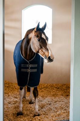Show full view: Horseware Ireland Rambo Embossed Lining 100g Horse Stable Sheet, Navy / Thunderstorm Grey / Silver, 81 inches slide 4 of 4