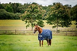 Horseware Ireland Amigo Ripstop 900D 0g Horse Turnout, Navy / Titanium Grey, 66 inches
