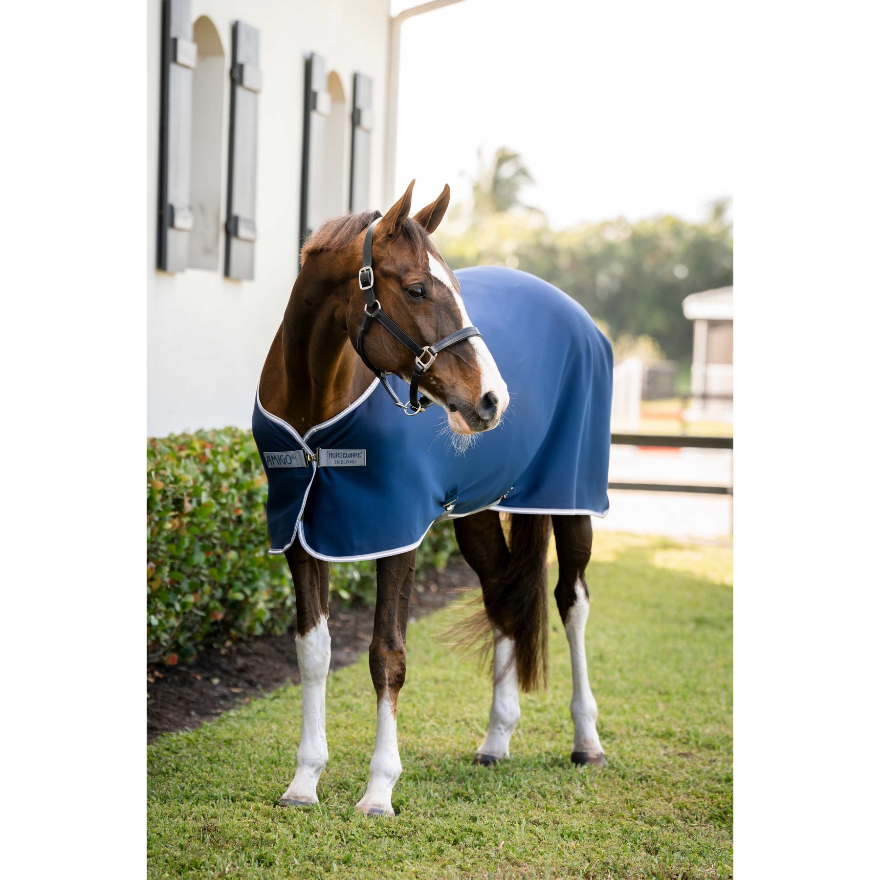 Horseware Amigo Horse Jersey Cooler, Navy / Titanium Grey / Silver, 81 inches