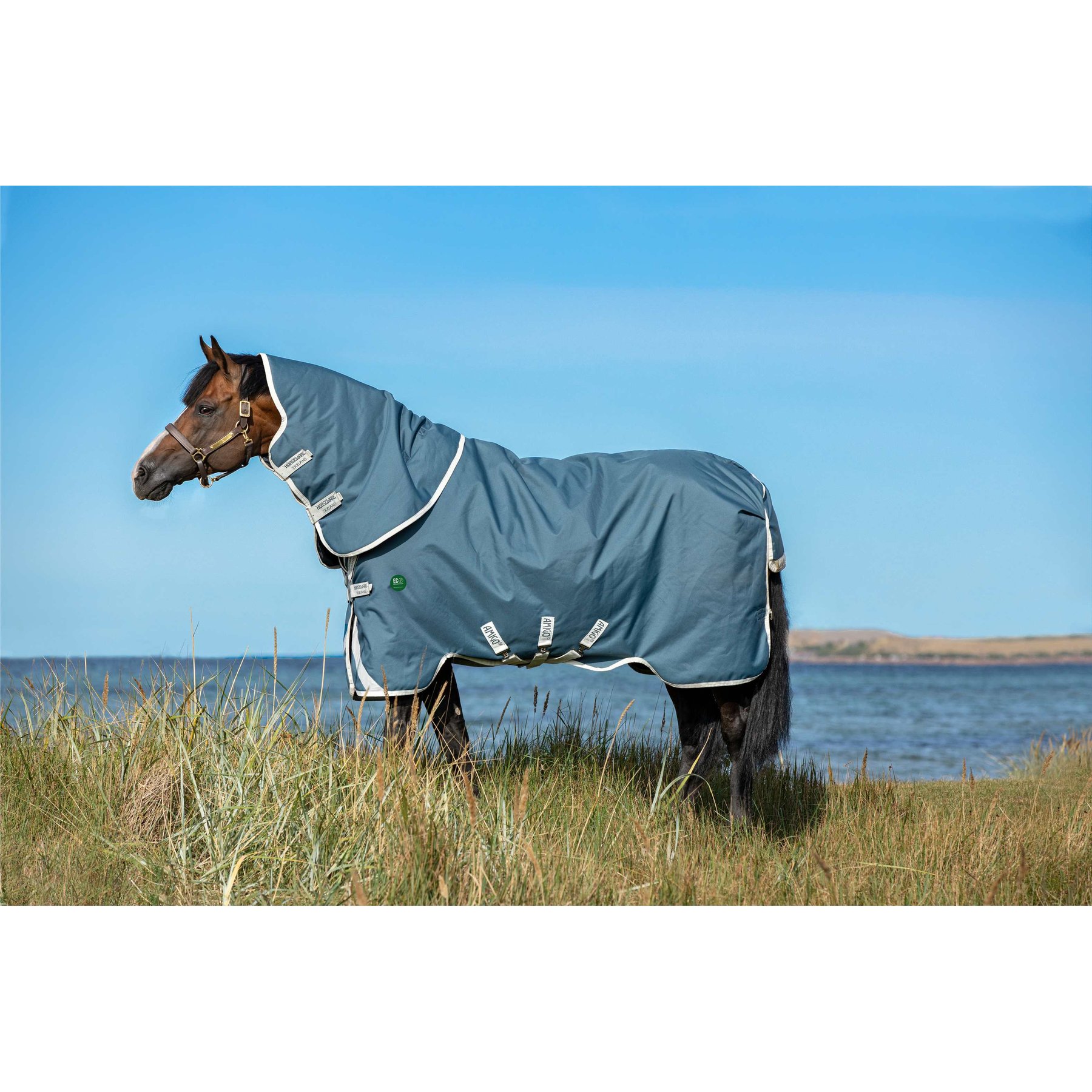 Horseware AmEco 1200D Plus 100g Horse Turnout, Teal / Grey, 66 inches